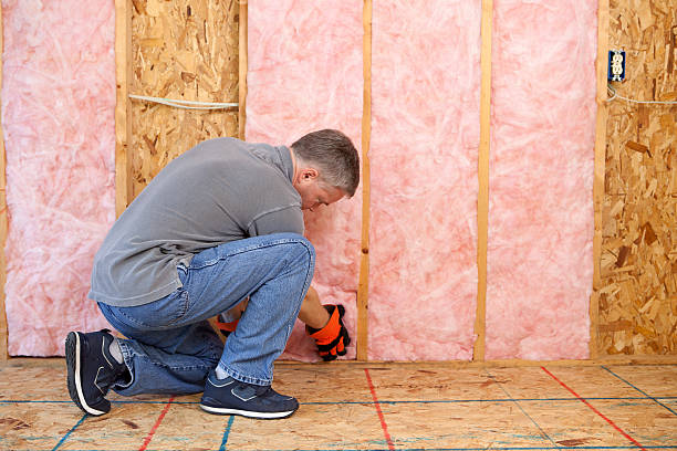 Best Insulation Maintenance and Repair in Eagle, WI